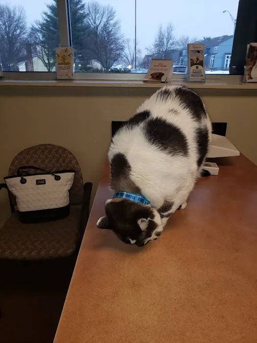 Animal Clinic of Newmark Picture 3