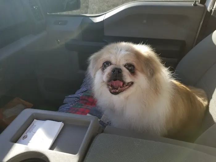 Animal Clinic of Newmark Picture 9