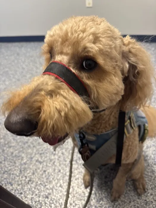 Eagle Animal Hospital at Staley Picture 6