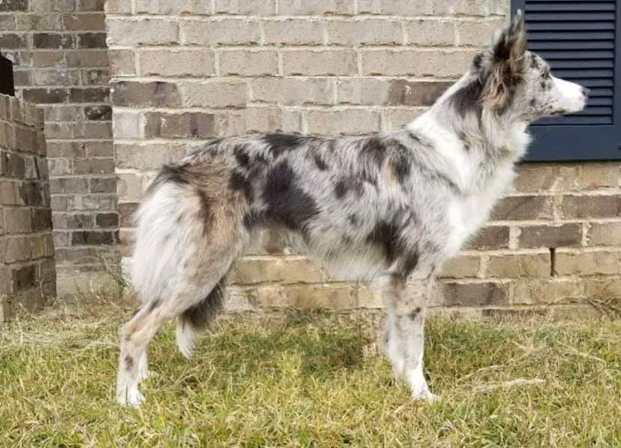 Vetco Total Care Animal Hospital Picture 3