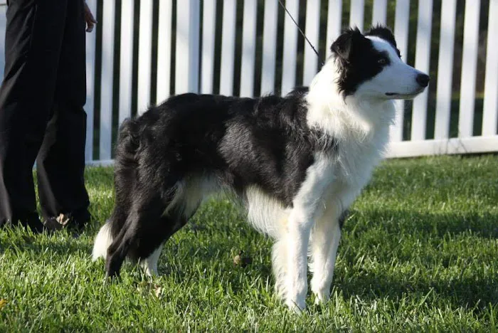 Vetco Total Care Animal Hospital Picture 1