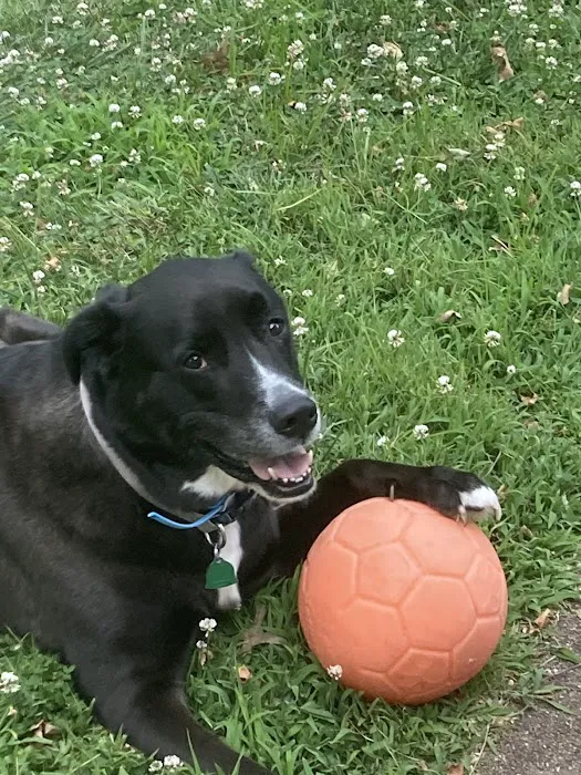 Vetco Total Care Animal Hospital Picture 2