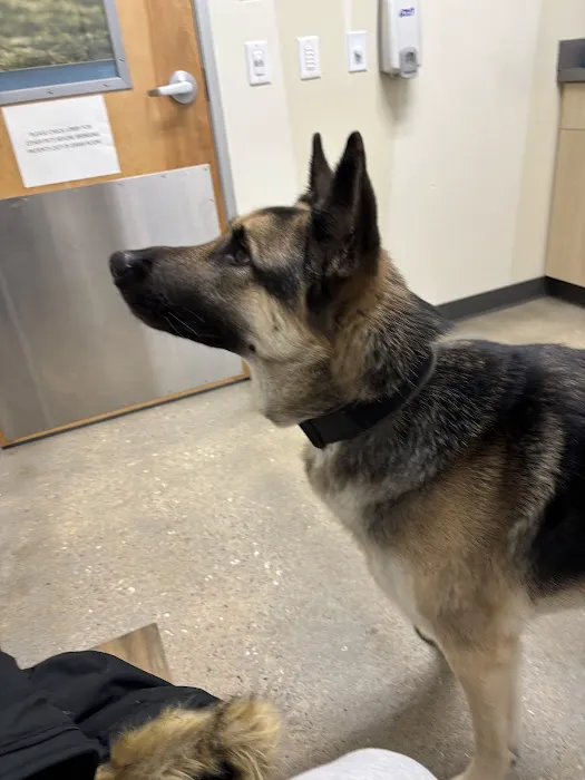 Vetco Total Care Animal Hospital Picture 4