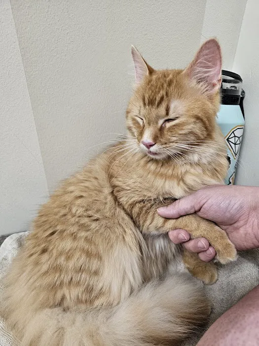 Vetco Total Care Animal Hospital Picture 8