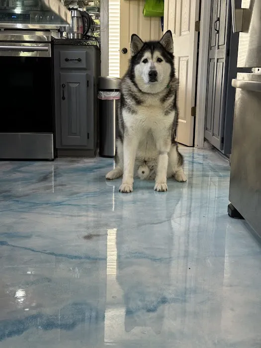 Banfield Pet Hospital Picture 1