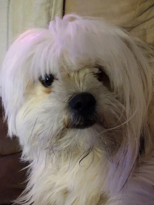 Banfield Pet Hospital Picture 5