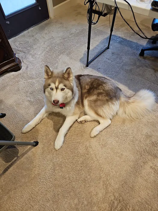 Banfield Pet Hospital Picture 6