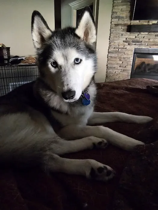 Banfield Pet Hospital Picture 3