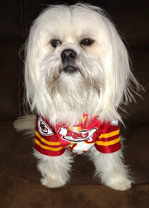 Banfield Pet Hospital Picture 2