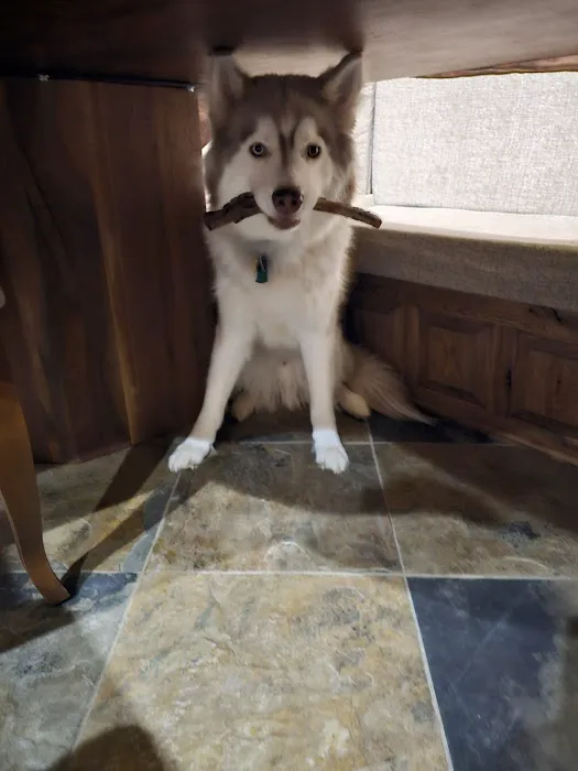 Banfield Pet Hospital Picture 4