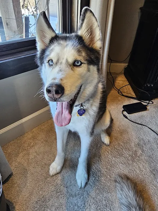 Banfield Pet Hospital Picture 8