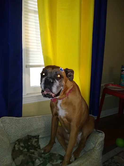 Banfield Pet Hospital Picture 7