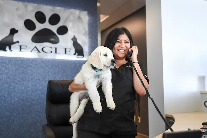 Eagle Animal Hospital and Pet Resort at Tiffany Springs Picture 9
