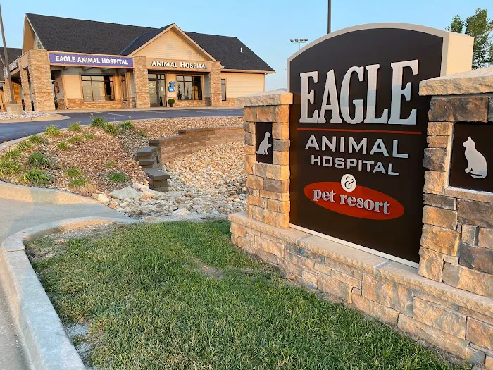 Eagle Animal Hospital and Pet Resort at Tiffany Springs Picture 10