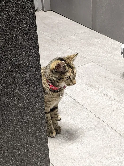 North Oak Animal Hospital Picture 1