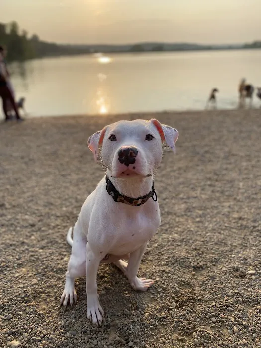 Barry Road Animal Hospital Picture 1