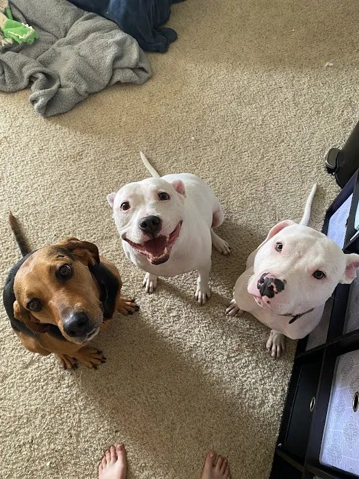 Barry Road Animal Hospital Picture 2