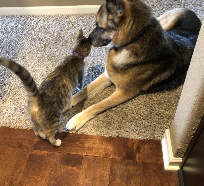 Barry Road Animal Hospital Picture 7