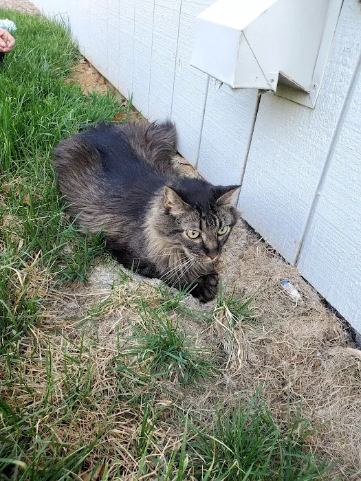 Barry Road Animal Hospital Picture 6