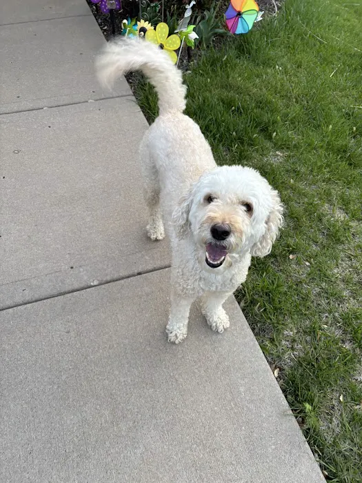 Gladstone Animal Clinic Picture 3