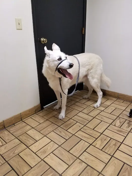 Gladstone Animal Clinic Picture 6