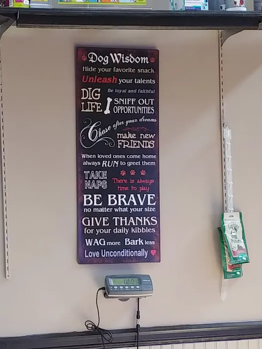 Gladstone Animal Clinic Picture 7