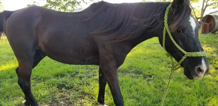 Jackson Animal Clinic Picture 3