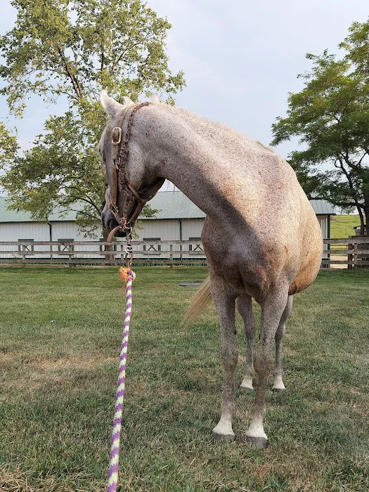Jackson Animal Clinic Picture 4