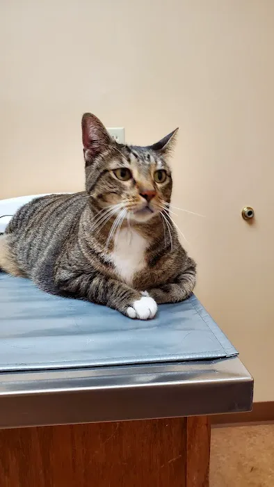 Jackson Animal Clinic Picture 5