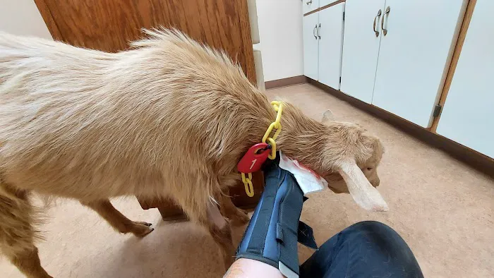 Jackson Animal Clinic Picture 2