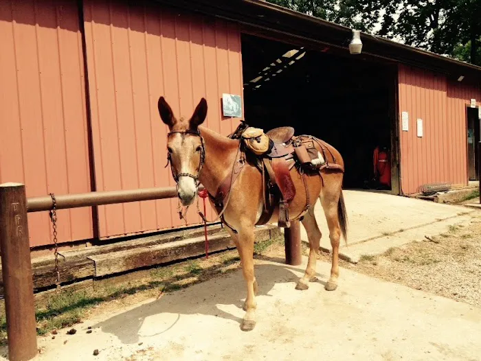 Jackson Animal Clinic Picture 8
