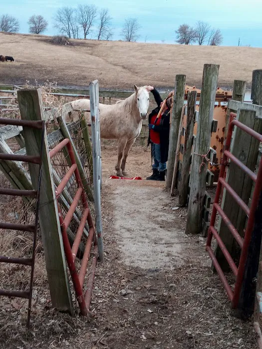 Jackson Animal Clinic Picture 7