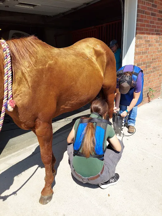 Jackson Animal Clinic Picture 6