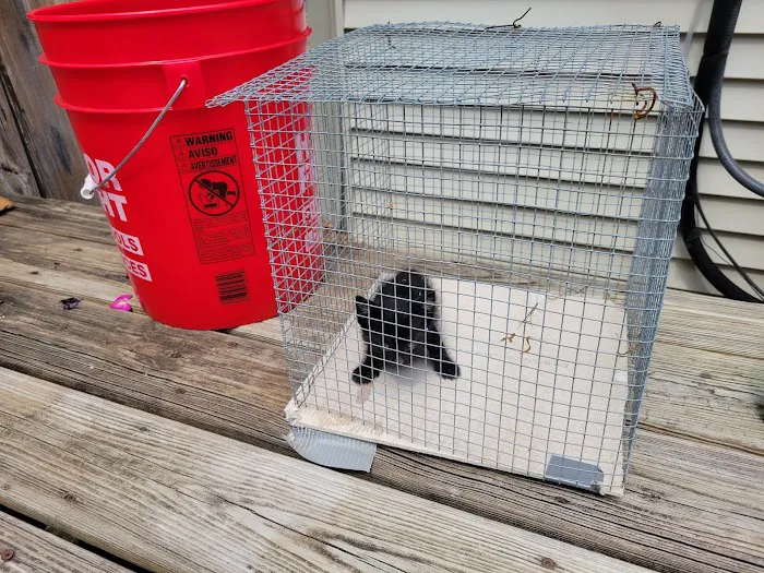 Northland Animal Hospital Picture 1