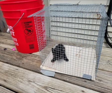 Northland Animal Hospital