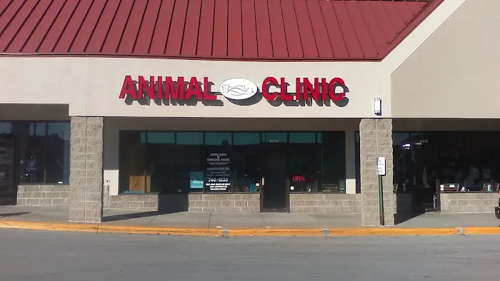 Northland Animal Hospital Picture 4