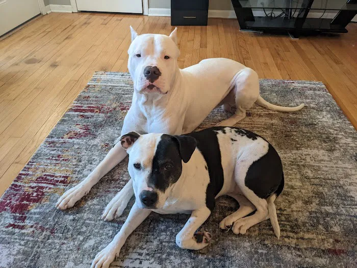 Northland Animal Hospital Picture 3