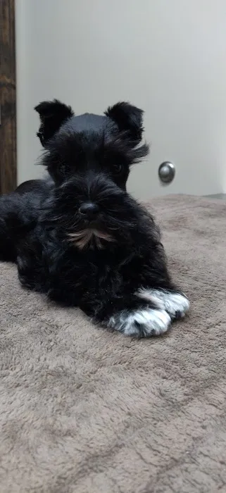 Northland Animal Hospital Picture 2