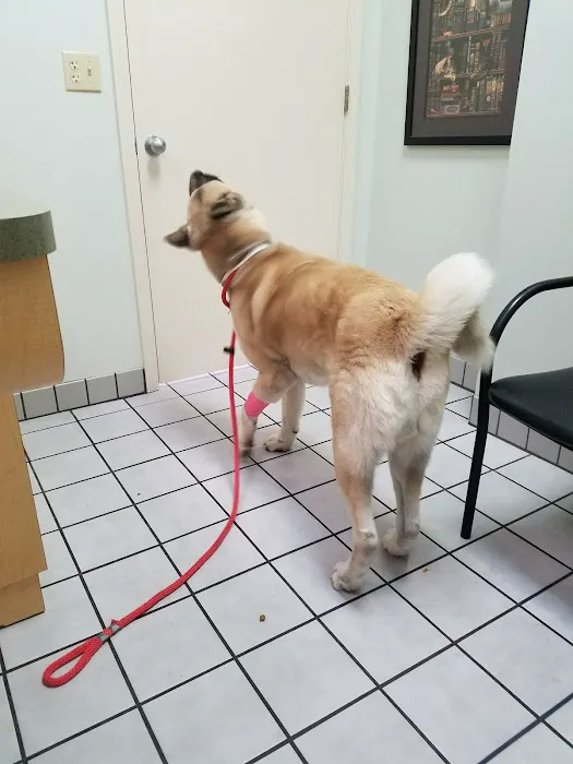 Northland Animal Hospital Picture 6