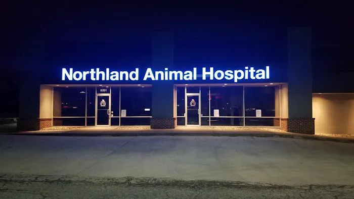 Northland Animal Hospital Picture 9