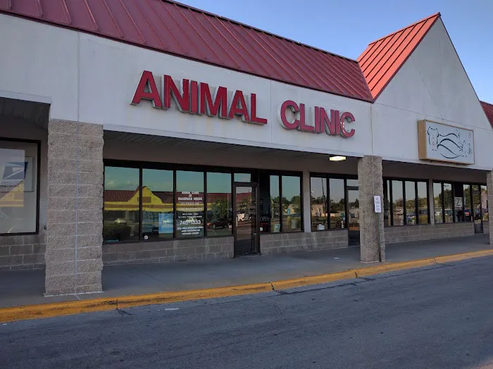 Northland Animal Hospital Picture 8