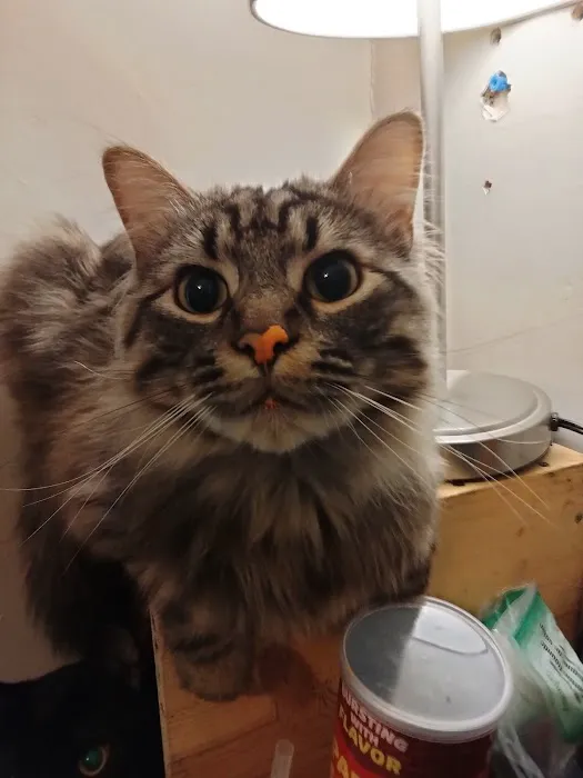 Ark Animal Hospital - Kansas City Picture 1