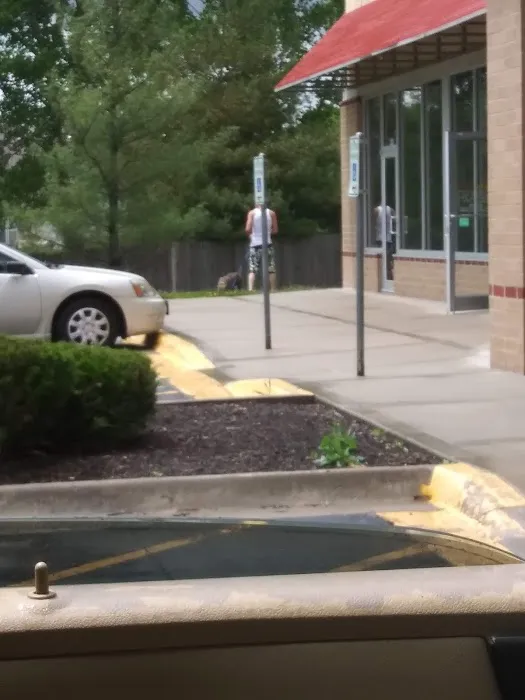 Ark Animal Hospital - Kansas City Picture 7