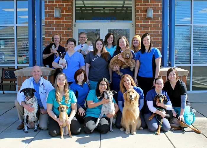 Ark Animal Hospital - Kansas City Picture 8