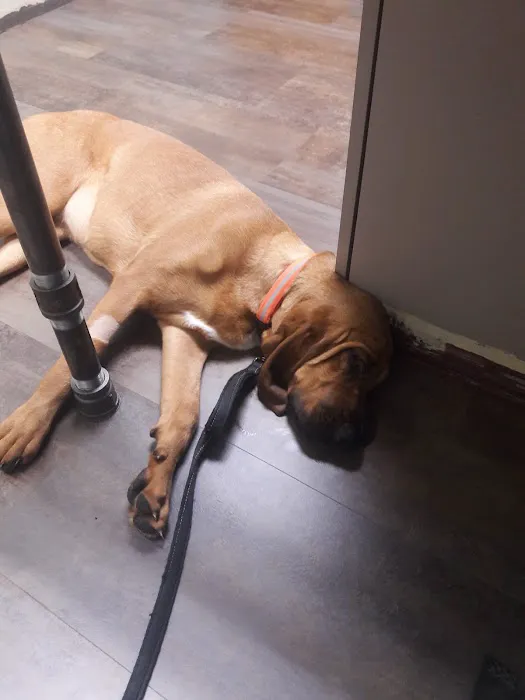 Amity Woods Animal Hospital Picture 3