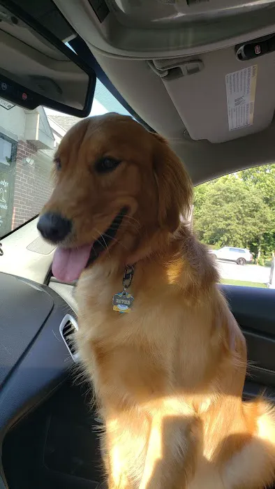 Amity Woods Animal Hospital Picture 2