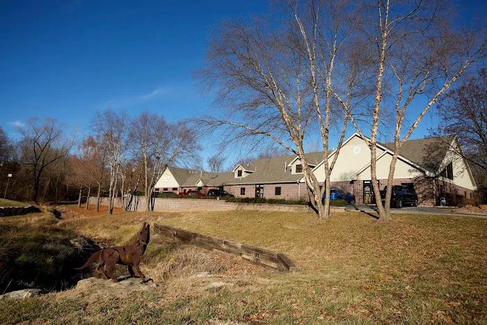 Amity Woods Animal Hospital Picture 6