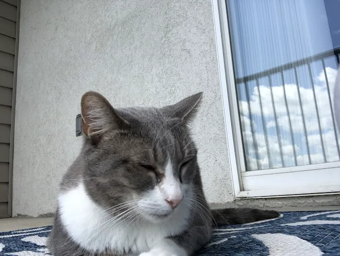 Amity Woods Animal Hospital Picture 5