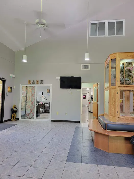 Amity Woods Animal Hospital Picture 8