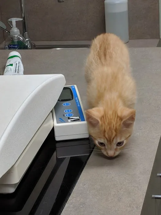 Amity Woods Animal Hospital Picture 9